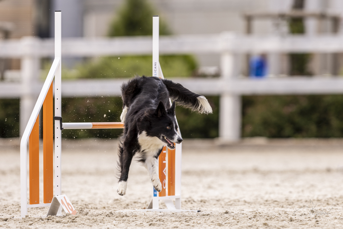 2022-07-09 Agility 025 kopie