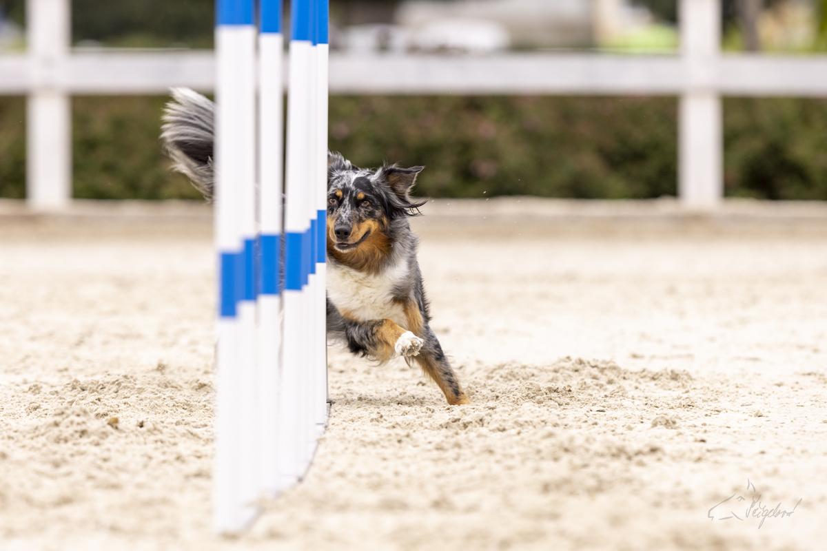 2022-07-09 Agility 057 kopie